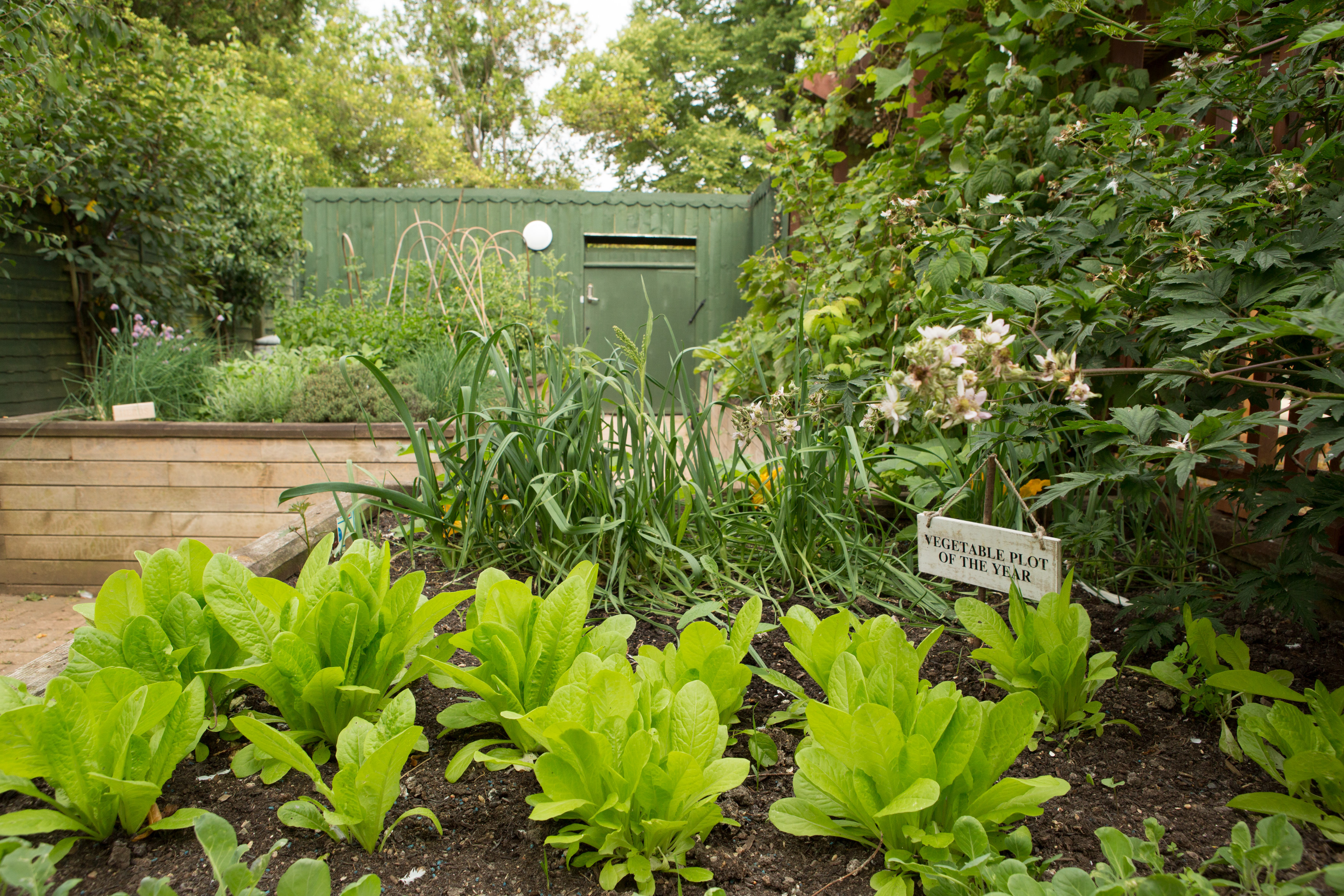 Pictures Rose Lodge Care Home