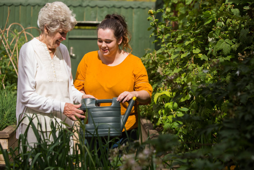 about us Rose Lodge Care Home